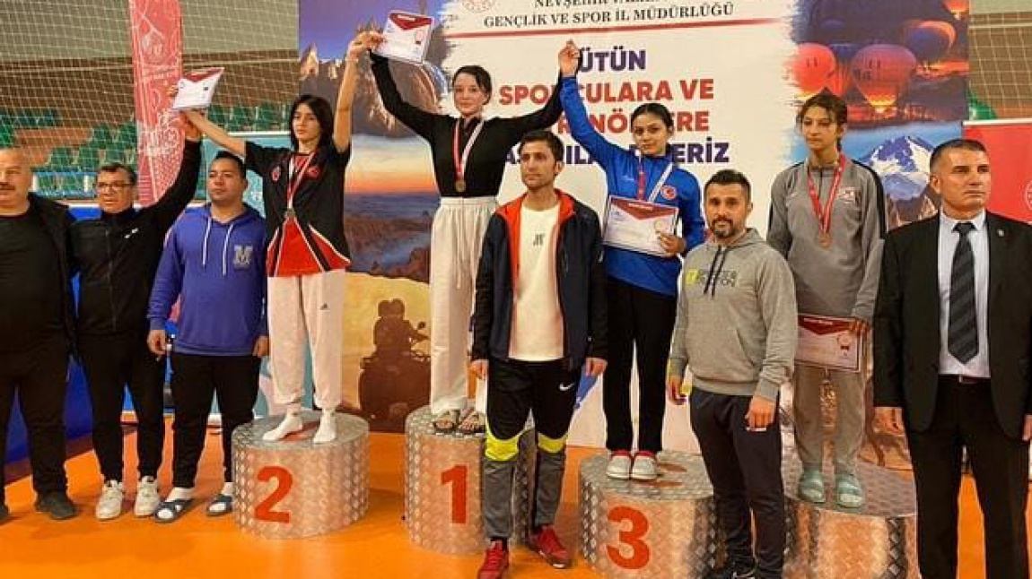 Taekwondo da Altın Madalya